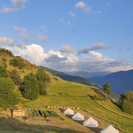 Lodg'Ing Secret Camp Ariege Hotel Lordat Buitenkant foto